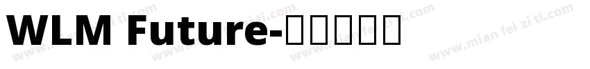 WLM Future字体转换
